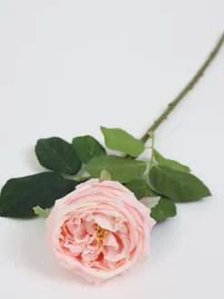 Inspire Me! Home Decor 19″ Blooming Pink Peony Stem Fashion