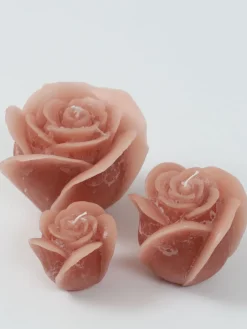 Inspire Me! Home Decor Blush Rose Candle (3 Sizes) Best