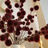 Inspire Me! Home Decor 33″ Burgundy Craspedia Stem Discount