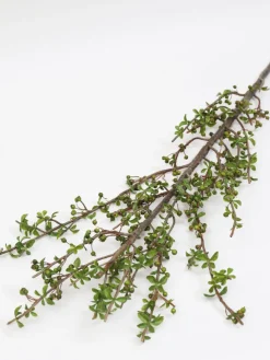 Inspire Me! Home Decor 36″ Cherry Blossom Stem With Pearls Discount