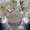 Inspire Me! Home Decor 25″ Cream Magnolia Stem Floral Stems Clearance
