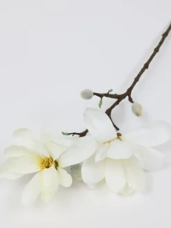 Inspire Me! Home Decor 25″ Cream Magnolia Stem Floral Stems Clearance
