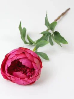 Inspire Me! Home Decor 24.5″ Cream Peony Stem Online