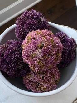 Inspire Me! Home Decor Decorative Faux Sedum Orb (2 Colors) New
