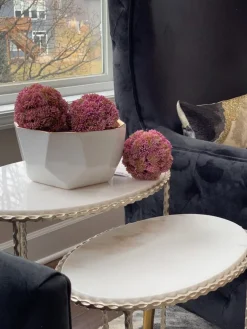Inspire Me! Home Decor Decorative Faux Sedum Orb (2 Colors) New