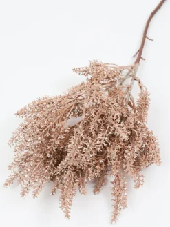 Inspire Me! Home Decor Extra Long Stem Beige Pampas Grass Stem Floral Stems Sale