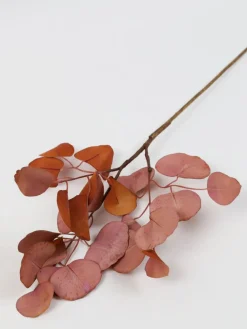 Inspire Me! Home Decor Floral Stems 58″ White Cascading Cherry Blossom Stem Online