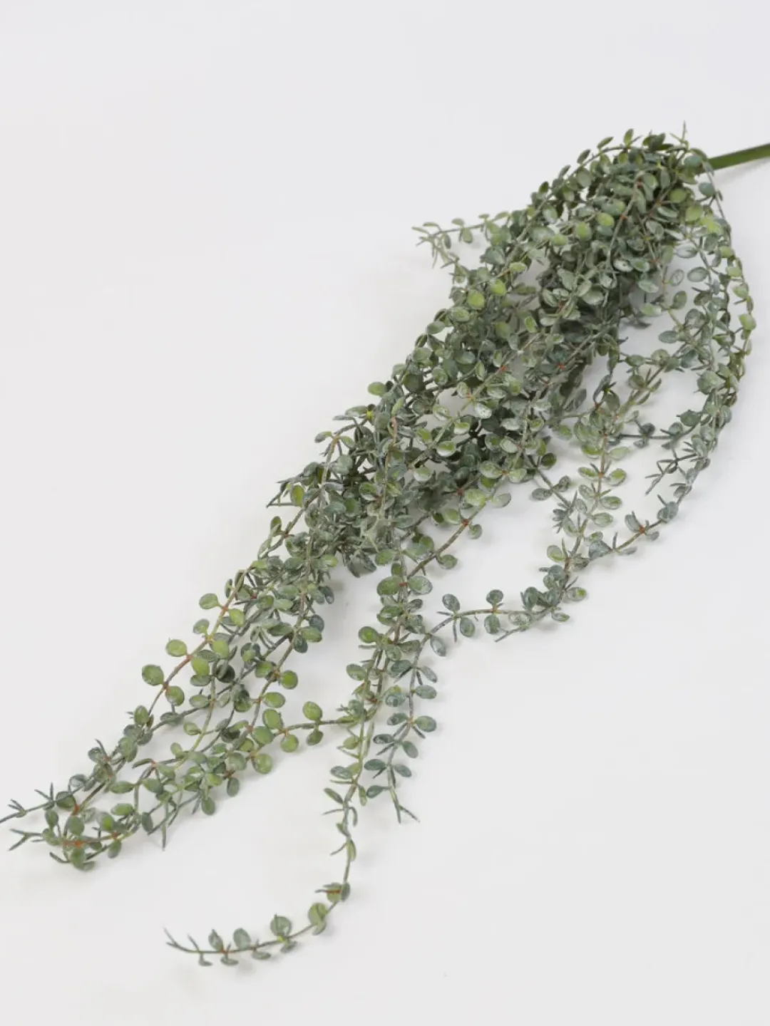 Inspire Me! Home Decor Floral Stems Beige Pink Flat Eucalyptus Stem Clearance