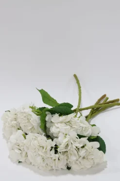 Inspire Me! Home Decor Floral Stems Ranunculus Bundle Stem (2 Colors) Sale