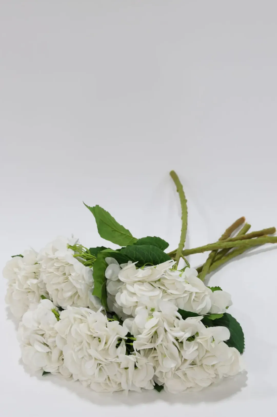Inspire Me! Home Decor Floral Stems Ranunculus Bundle Stem (2 Colors) Sale