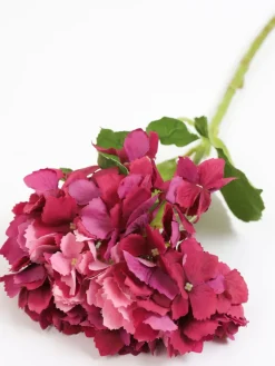 Inspire Me! Home Decor Floral Stems Real Touch Rose Bundle (2 Colors) Online