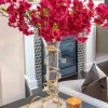 Inspire Me! Home Decor Ginger Jars Gold Beaded Ginger Jar (2 Sizes) Fashion
