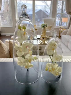 Inspire Me! Home Decor Glass Bell Cloche ( Glass Dome ) Fashion