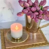 Inspire Me! Home Decor Glass Cloche With Black Tip Matches Outlet