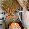 Inspire Me! Home Decor Mauve Feathered Pampa Grass Stem Outlet