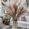 Inspire Me! Home Decor 46″ Plum Blossom Branch Best