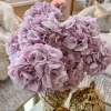 Inspire Me! Home Decor 24″ Real Touch White Gardenia Stem Clearance