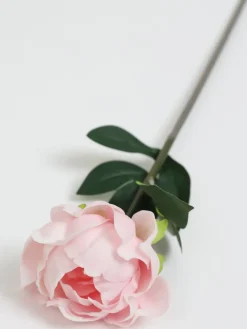 Inspire Me! Home Decor Real-Touch Full Peony Stems (3 Colors) Fashion