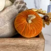 Inspire Me! Home Decor Small Striped Ceramic Pumpkin With Gold Stem Clearance