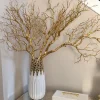 Inspire Me! Home Decor 36″ White Feather Stem Best
