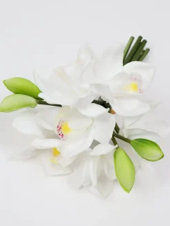 Inspire Me! Home Decor 11″ White Orchid Bundle Fashion