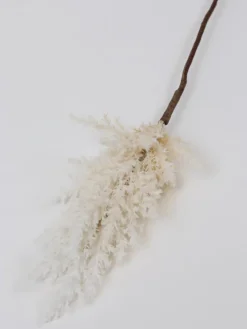 Inspire Me! Home Decor White Pampa Stem Fashion