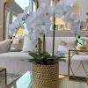 Inspire Me! Home Decor White Porcelain Vase Dipped Design (2 Colors) Best