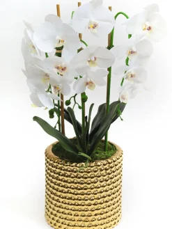 Inspire Me! Home Decor White Porcelain Vase Dipped Design (2 Colors) Best